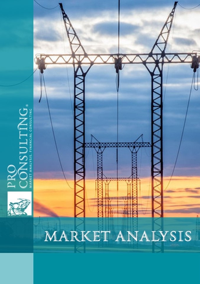 Market research report on electricity in Ukraine. 2023 year